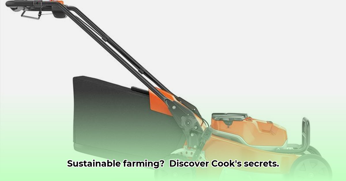 cooks-lawn-and-tractor